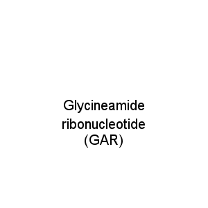 Glycineamide ribonucleotide (GAR)